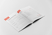Pitch Deck Proposal Template, a Brochure Template by Andre28 (Thumbnail 12 of 12)