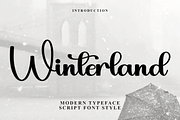 Winterland, a Handwritten Font by InermediaSTUDIO (Thumbnail 1 of 8)