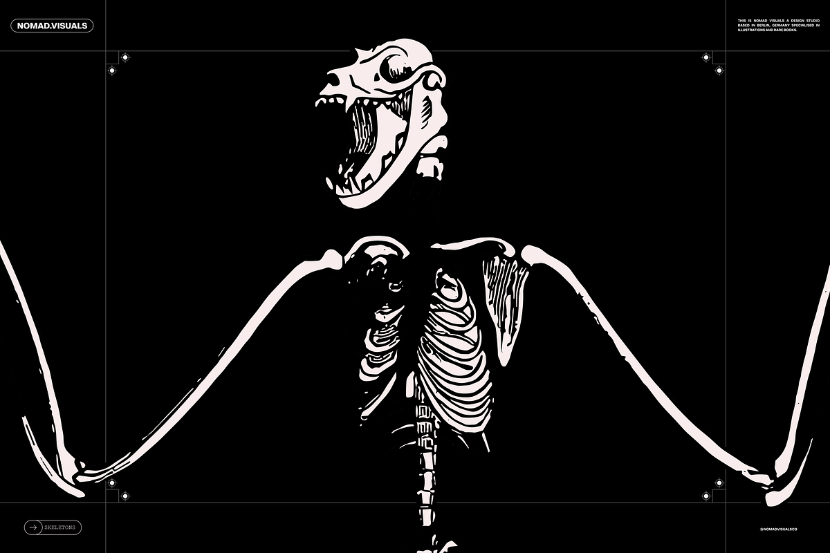 Skeletons & Bones, an Animal Illustration by Nomad Visuals (Photo 13 of 15)