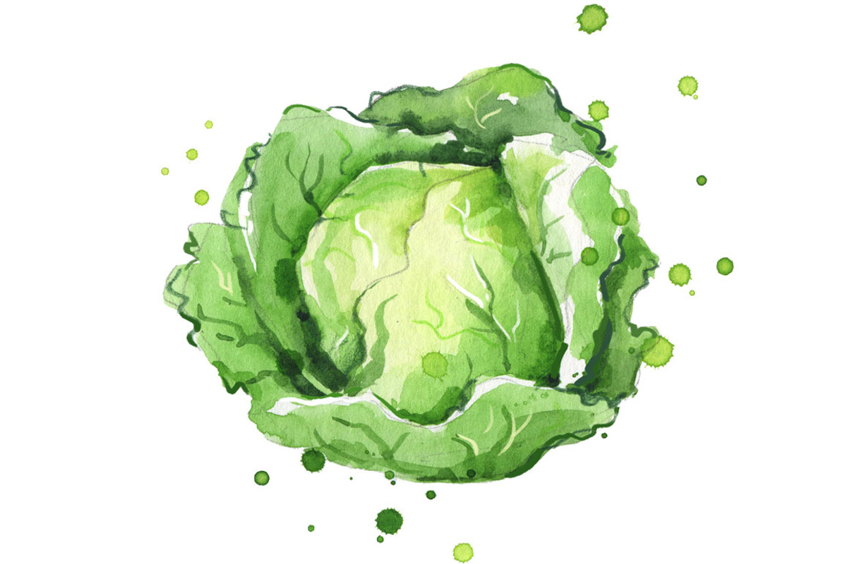 Selection of green foods, watercolor, a Food Illustration by Kamenuka (Photo 3 of 4)