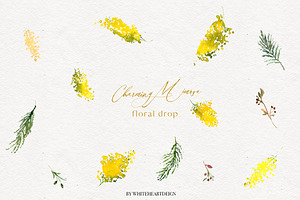 Charming Mimosa - Yellow Flowers PNG