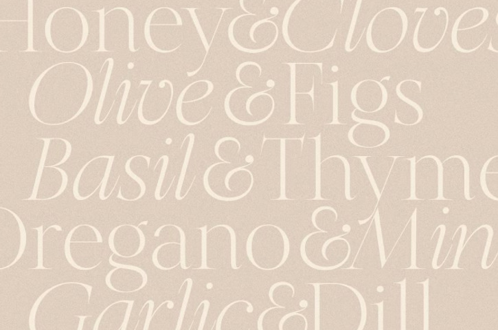 Type Deals: Sleek & Polished