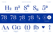 TT Livret, a Serif Font by TypeType (Thumbnail 10 of 15)
