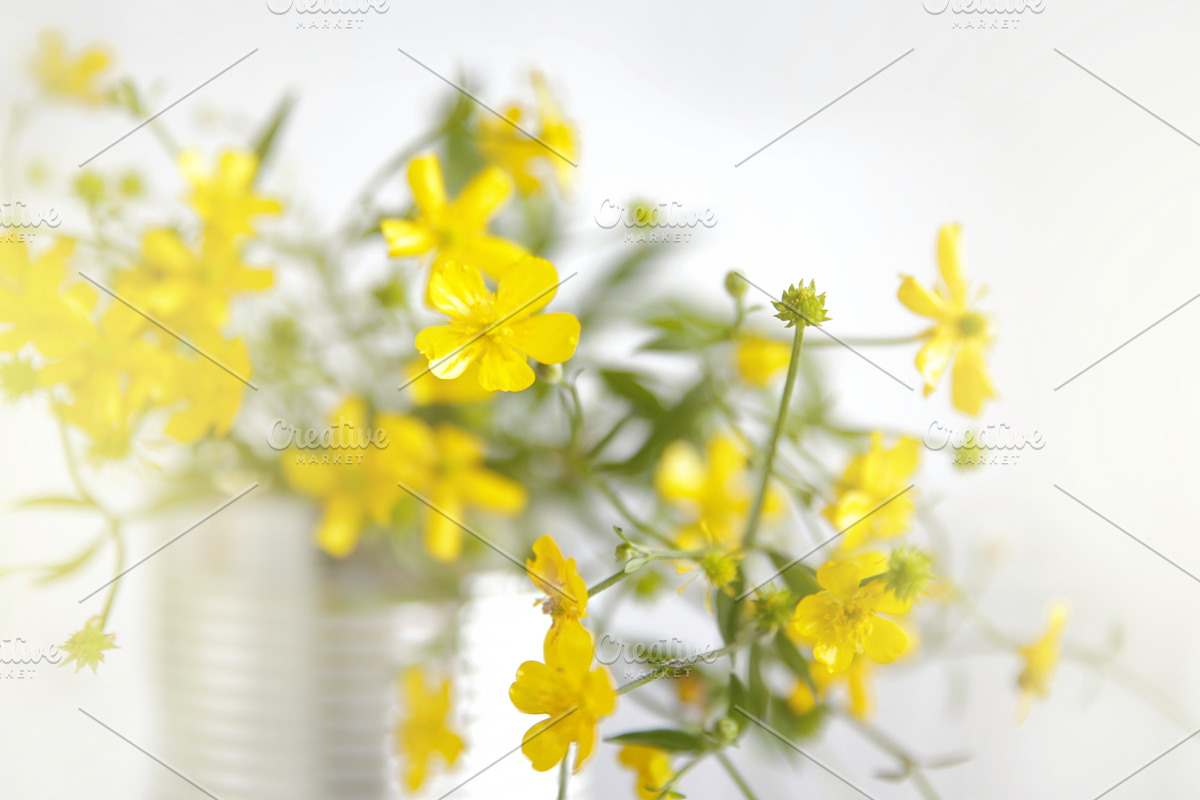 Wilde flower - Summer - Cowslip, a Background Photo by Susa's pics (Photo 1 of 3)
