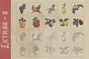 Aspernatur Vintage Family, a Serif Font by wubstudio (Thumbnail 11 of 13)