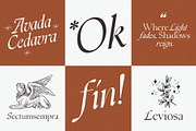 Gumarang - Serif Font, a Serif Font by Four Lines Std. (Thumbnail 5 of 14)