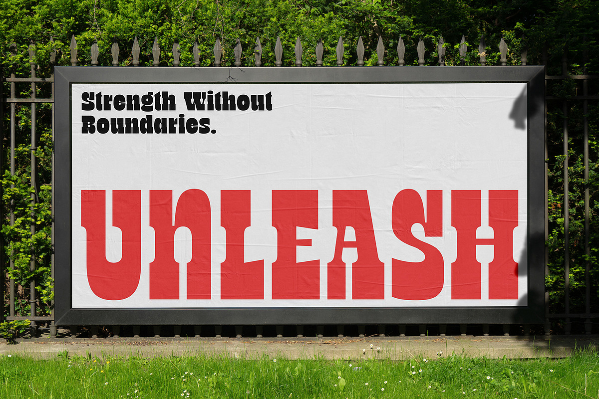 TNSC Bink - Slab Serif Display, a Slab Serif Font by The Native Saint Club (Photo 15 of 16)