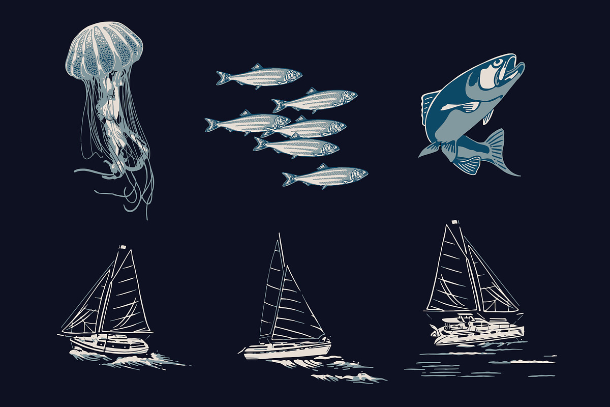 Sea Life - Marine and Nautical, an Illustration by Sault Design (Photo 3 of 3)