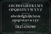 Entielin Decorative Serif Font, a Serif Font by Rasio Studio (Thumbnail 2 of 9)