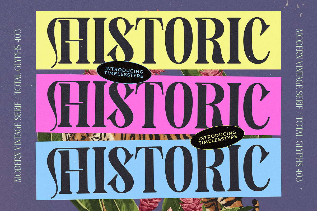 Bistoric Historic Modern Serif, a Serif Font by timelesstype.co (Photo 20 of 20)