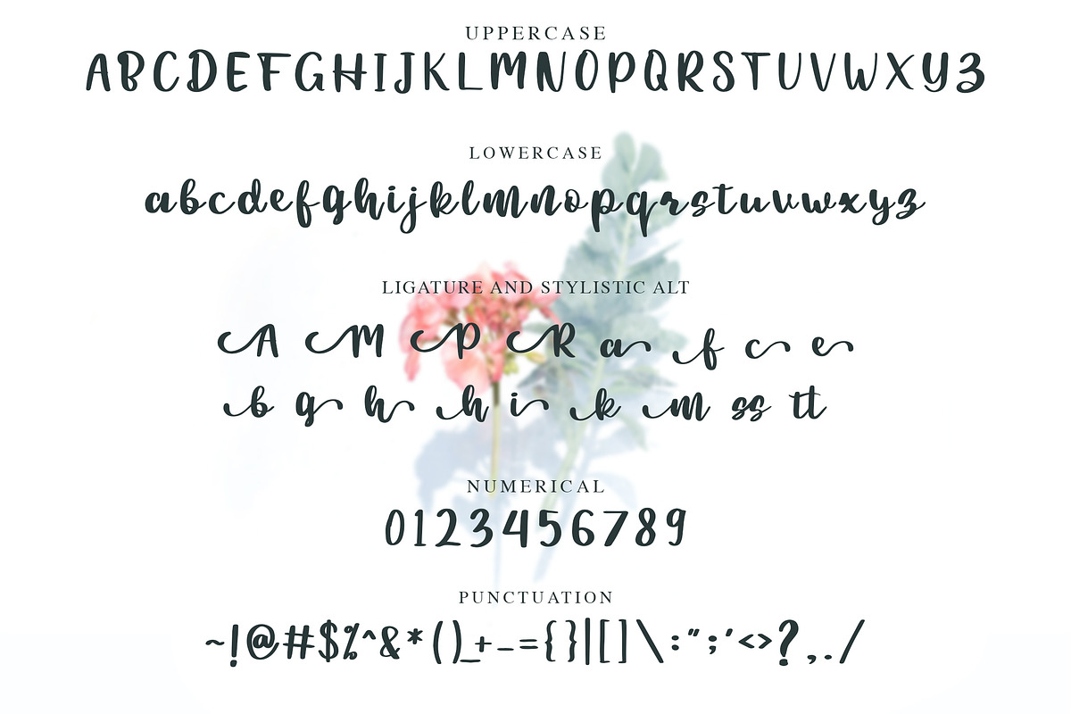 Beauty Chatti - Script Font, a Script Font by NTC Graphic (Photo 6 of 7)