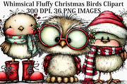 Whimsical Fluffy Christmas Birds, an Illustration by Canvas Craft (Thumbnail 1 of 5)