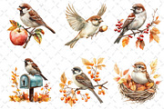 Autumn Sparrows Bird Clipart, an Illustration by Dream Creation (Thumbnail 5 of 6)