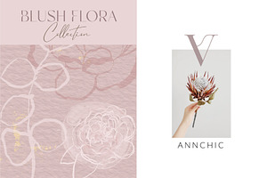 Blush Chic Backgrounds & Florals