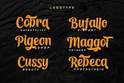 Homeville – Elegant Typeface, a Font by Dumadistyle (Thumbnail 6 of 10)