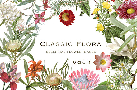 Botanical Flowers vol.1