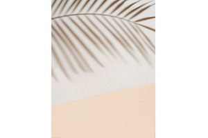 Palm leaf shadow on white wall, an Abstract Photo by Fascinadora