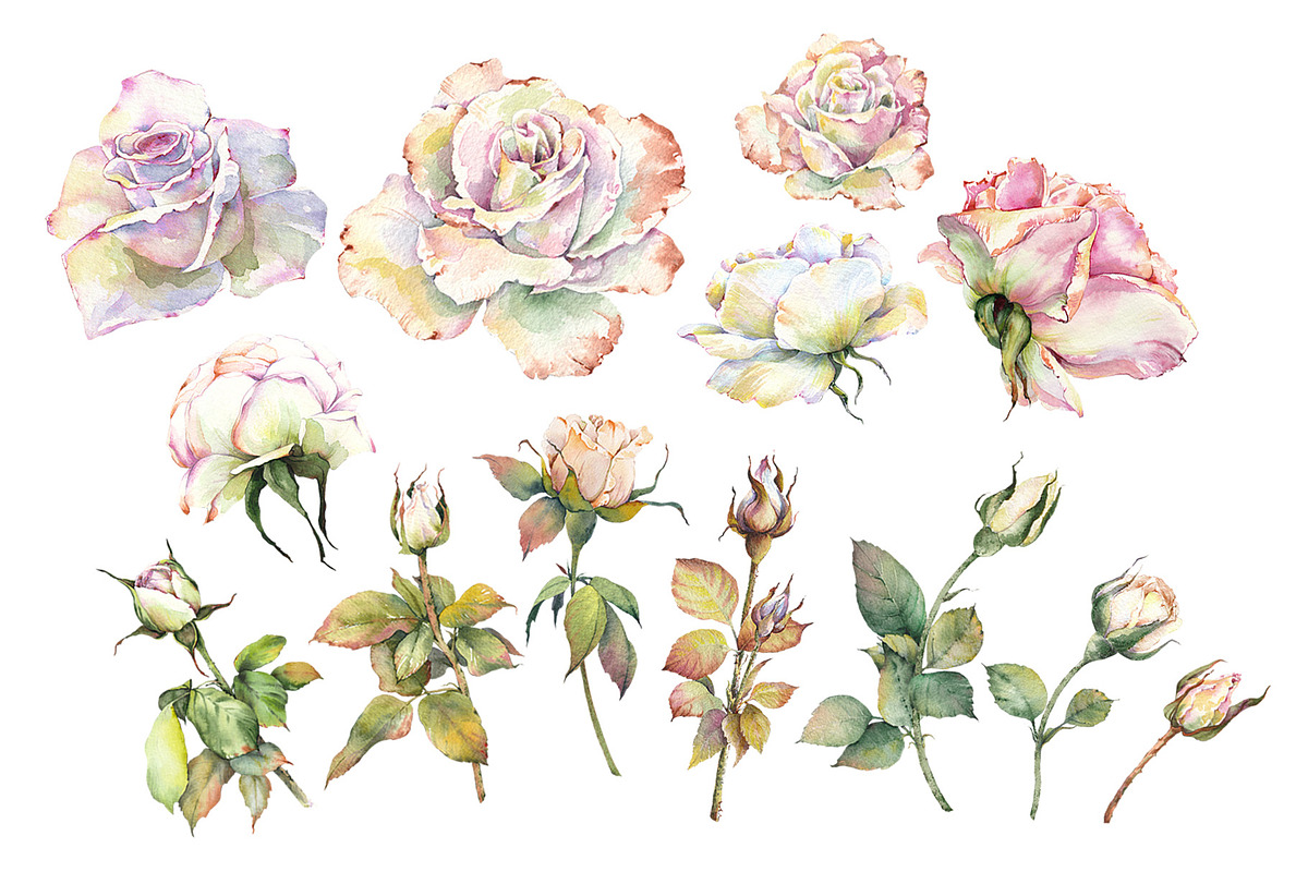 Romantic Watercolor Rose Clipart, a Decorative Illustration by Jeanna Draw (Photo 10 of 17)
