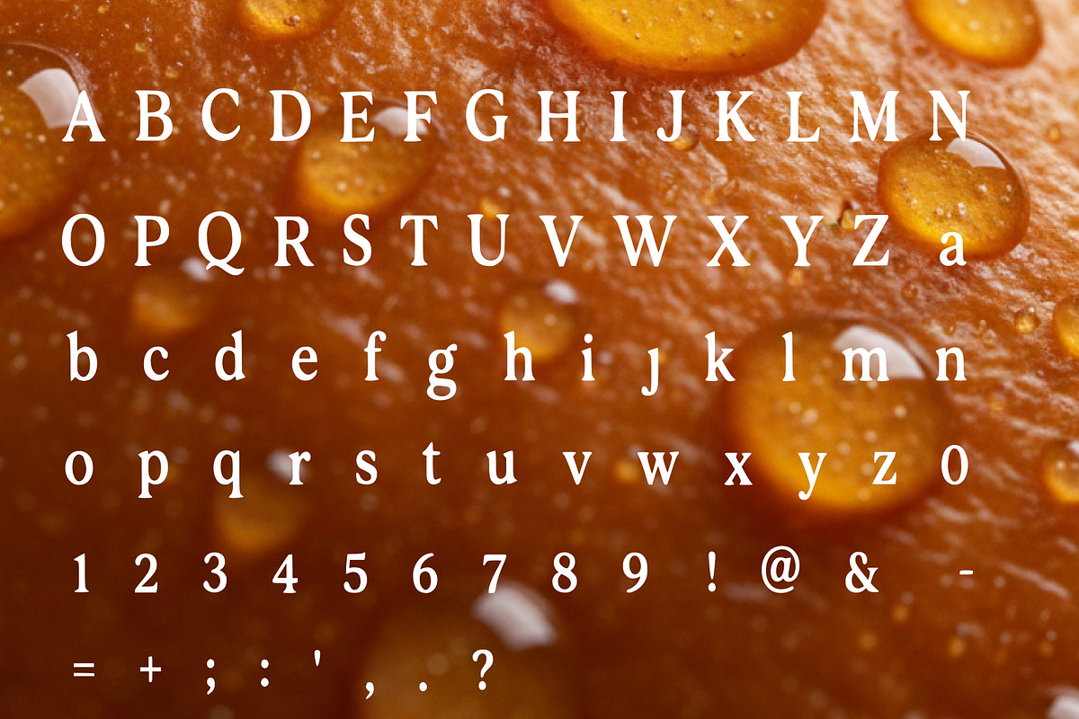 Noble Elegant Organic Serif Typeface, a Serif Font by DreamoraArt (Photo 3 of 6)