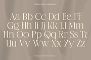 Terquiny - Modern Luxury Serif, a Serif Font by Shapespired Design (Thumbnail 4 of 17)
