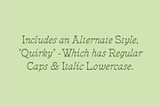 Ceremony Serif, a Serif Font by MEG BURK CHOI (Thumbnail 3 of 3)