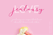 Darloune | An Elegant Calligraphy, a Script Font by WDfont (Thumbnail 3 of 5)