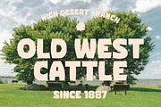 Corva Bold Inside, a Sans Serif Font by zeenesia (Thumbnail 6 of 14)
