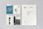 Notebook Collage Mockup, a Books & Magazine Mockup by nkate (Thumbnail 1 of 7)