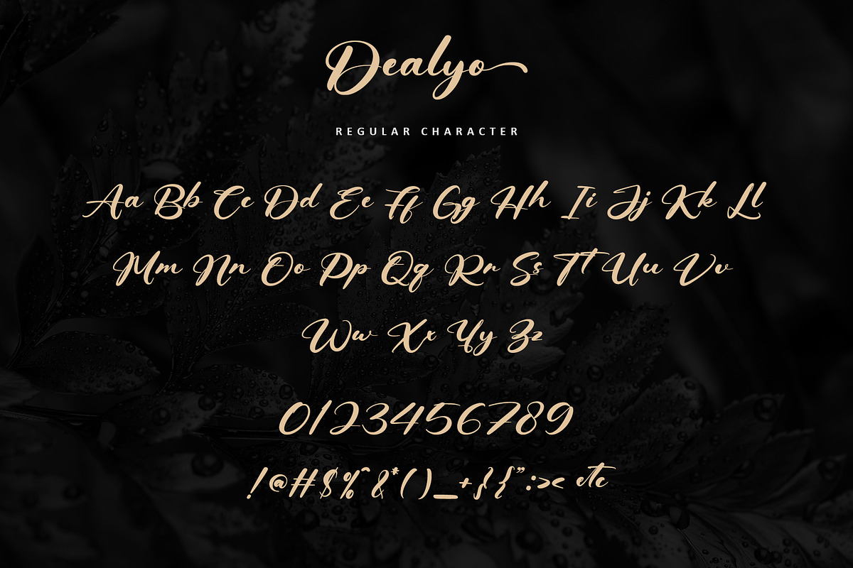 Dealyo, a Handwritten Font by Letterara (Photo 11 of 14)