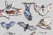 Vampire bats, watercolor/ink/vector, an Animal Illustration by Watercolor_Vector Graphic (Thumbnail 2 of 22)