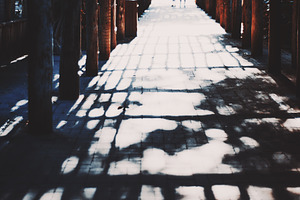 Wooden tunnel shadows walkway, an Architecture Photo by SkyNext