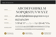 Chipno, a Serif Font by Attract Studio (Thumbnail 16 of 16)