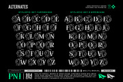 Soullar Typeface, a Serif Font by alit design (Thumbnail 2 of 20)