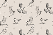 Titmous. Pencil illustrations, an Object Graphic by Tilling (Thumbnail 4 of 5)