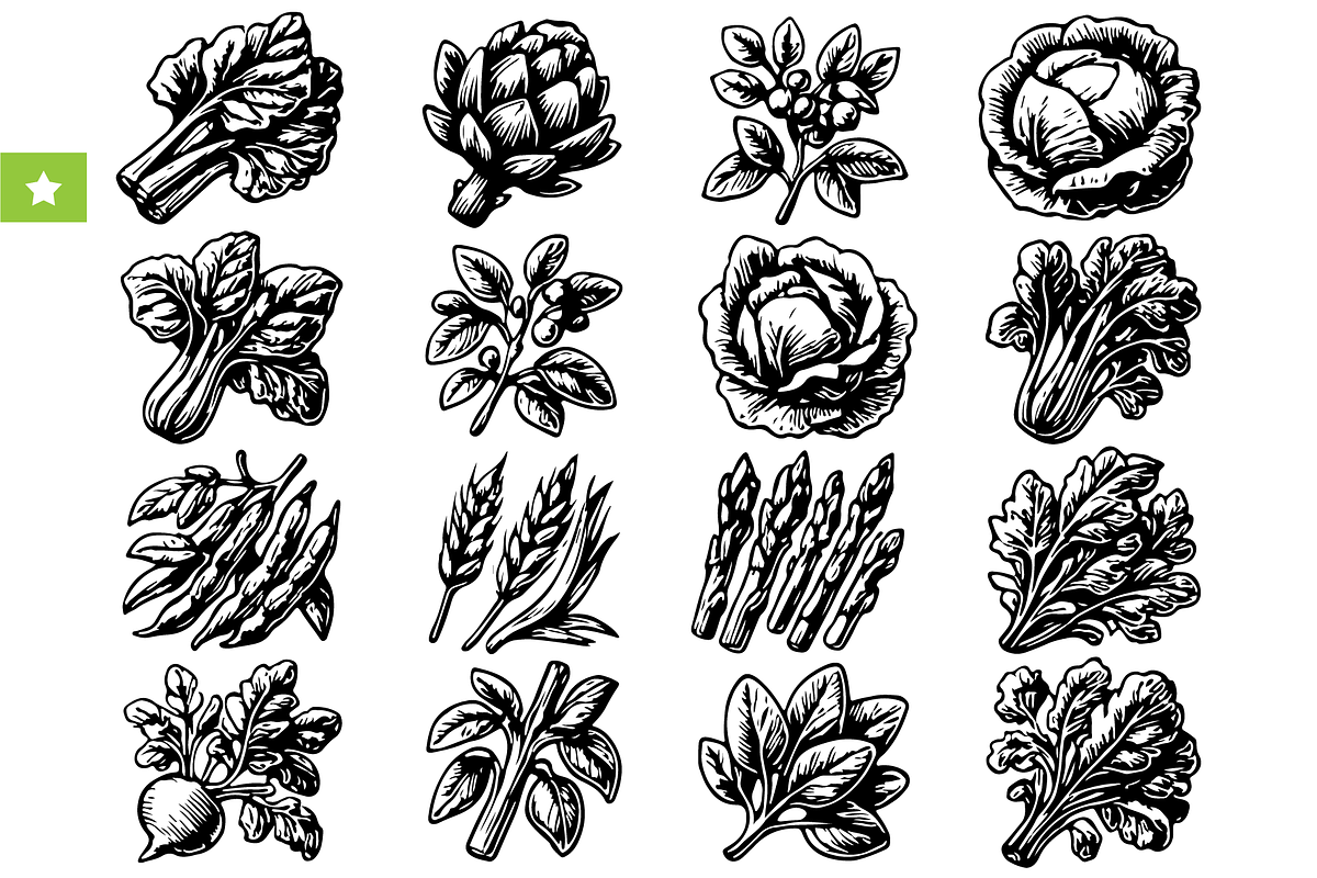 Vintage Vegetables Set, an Object Graphic by RT Studio