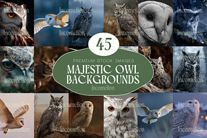 45 Majestic Owl Stock Photos, an Animal Photo by Incomelion