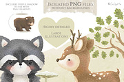Woodland Animals Clip Art Collection, an Animal Illustration by Jen Digital Art (Thumbnail 5 of 6)
