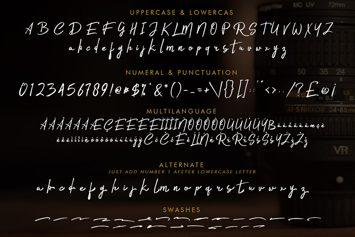 Rishtee Signature Font preview 7