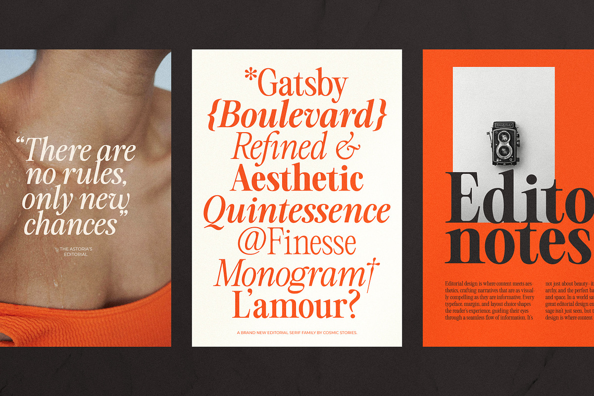 The Astoria's Editorial Serif, a Serif Font by CarmineType (Photo 13 of 26)