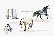 horse clipart horse illustration set, an Illustration by Patishop Art (Thumbnail 6 of 10)