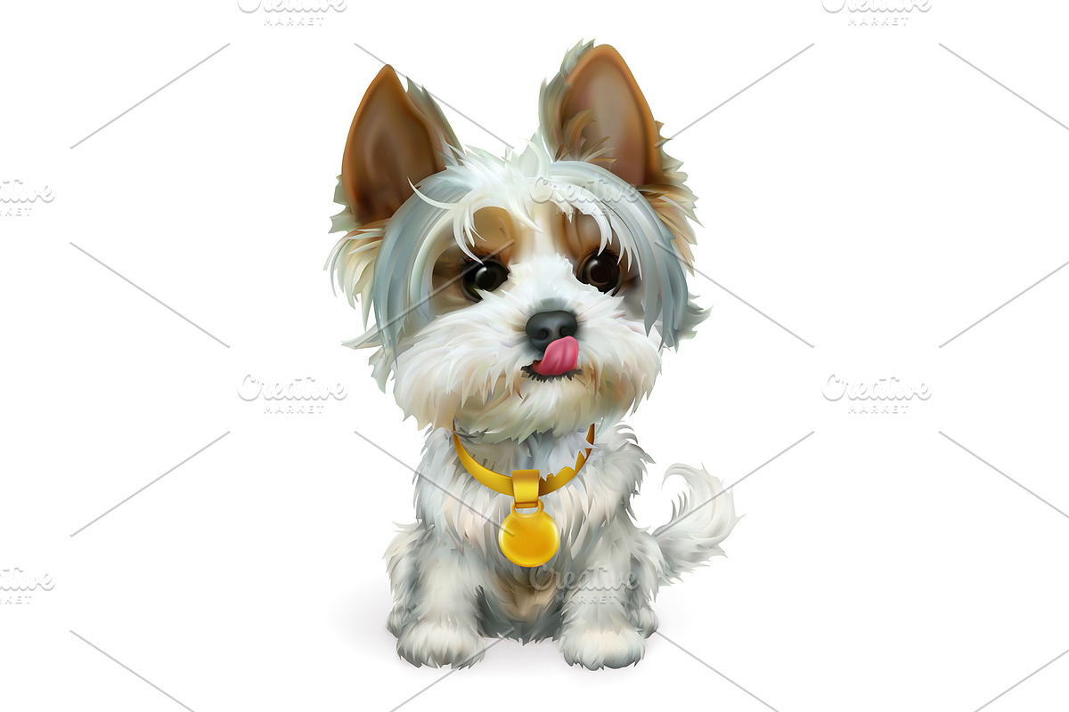 Chinese Zodiac, 12 animals, vectors, an Icon by Allevinatis Studio (Photo 6 of 7)