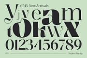 Segina - Decorative Serif, a Serif Font by creativemedialab (Thumbnail 7 of 12)