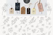 Sakura Blossom. Cherry Spring., a Seasonal Illustration by Designwork (Thumbnail 19 of 23)