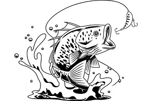 Aggressive Bass Fish Character