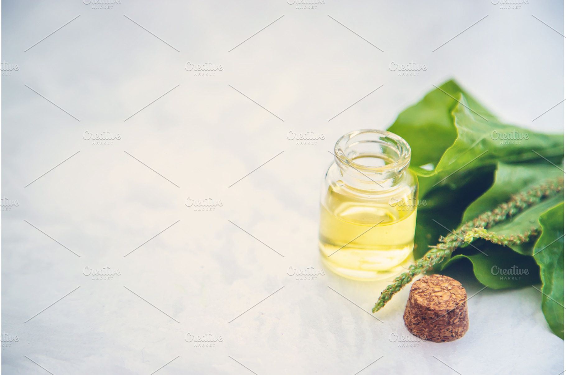 Plantain extract in a small bottle, a Nature Photo by yanadjana