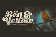 Little Bird Display Script, a Script Font by senzana (Thumbnail 9 of 10)