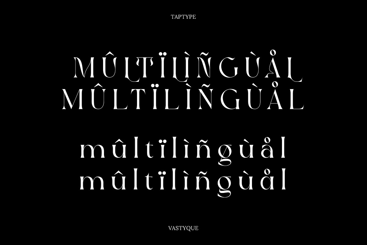 Vastyque - Modern Ligatures Serif, a Serif Font by Vesvocrea (Photo 10 of 12)