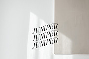 Minimal Logo Kit For Illustrator, a Branding & Logo Template by Forth and Wild (Thumbnail 5 of 14)
