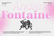 Shapfly, a Serif Font by Propertype (Thumbnail 7 of 15)