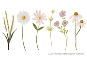 Watercolor Wild Flower Clipart, a Decorative Illustration by Murphy & Frank (Thumbnail 3 of 9)